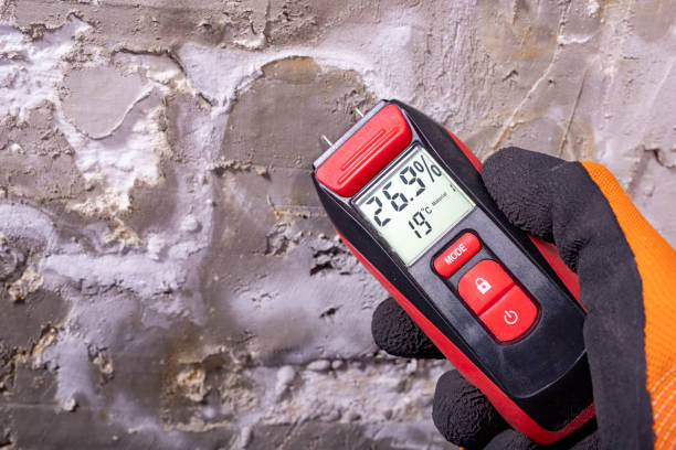 Best Toxic Mold Removal  in , MO