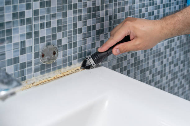 Best Black Mold Removal  in , MO